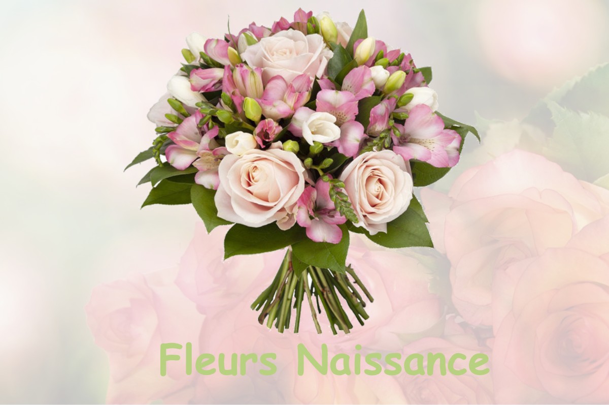 fleurs naissance MESSIGNY-ET-VANTOUX